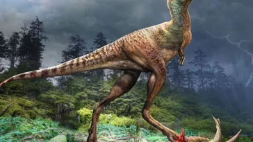 5 descobertas incriveis sobre os dinossauros em 2023