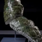 Armadura romana quebrada em mais de 10 partes e remontada por pesquisadores
