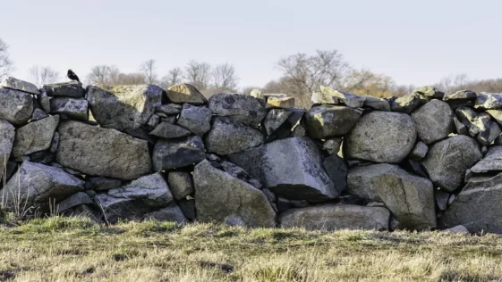 Conheca as paredes de pedra da Nova Inglaterra mais volumosas que a Muralha da China e as Piramides de Gize juntas