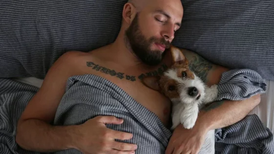 Dormir com seu pet pode prejudicar o seu sono
