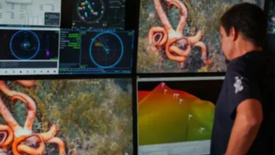Expedicao no fundo do mar descobre mais de 100 novas especies