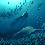 Fosseis revelam enormes vermes marinhos de 500 milhoes de anos
