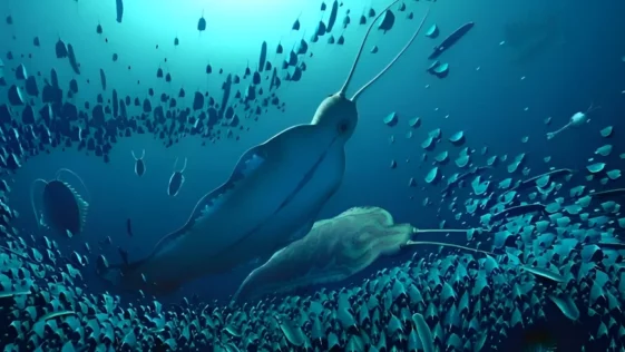 Fosseis revelam enormes vermes marinhos de 500 milhoes de anos