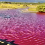 Lagos rosados podem ser criados pelas mudancas climaticas