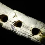 Marfim de mamute de 35 mil anos era usado como ferramenta para fazer corda