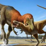 Novo estudo controverso diz que T Rex adolescente e de uma especie totalmente nova