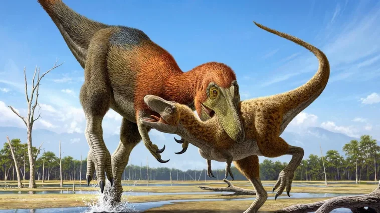 Novo estudo controverso diz que T Rex adolescente e de uma especie totalmente nova