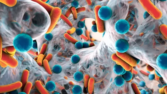 Novo polimero pode ser a solucao para combater a resistencia das superbacterias
