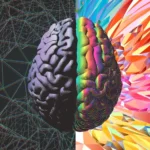 O que e a vinganca do lado direito do cerebro