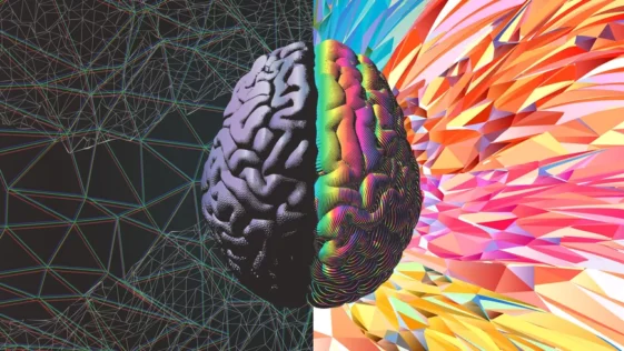 O que e a vinganca do lado direito do cerebro