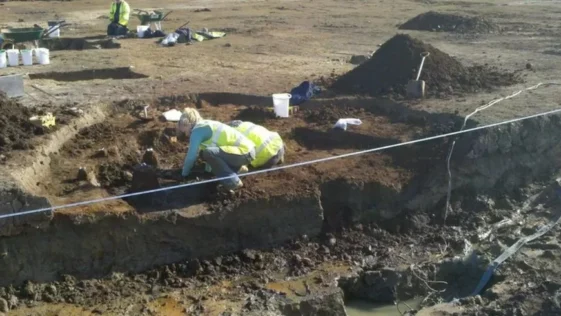 Ovo de 1.700 anos ainda possui liquido em seu interior aponta analise