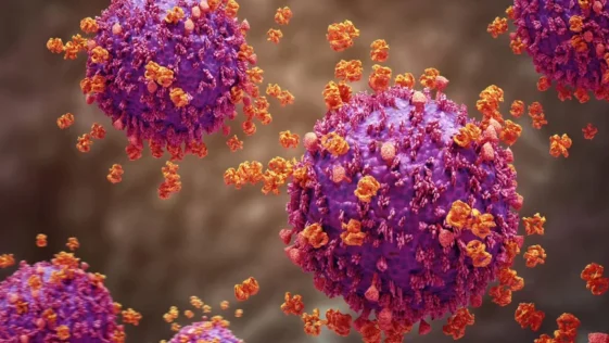 Pandemia pre historica que durou 15 milhoes de anos ecoa ate os dias de hoje