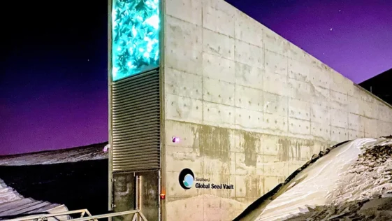 Silo Internacional de Svalbard o banco de sementes da Noruega que guarda 90 de todas do mundo