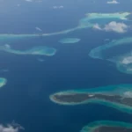 Superestrutura crescendo desde a epoca dos dinossauros e encontrada na Melanesia